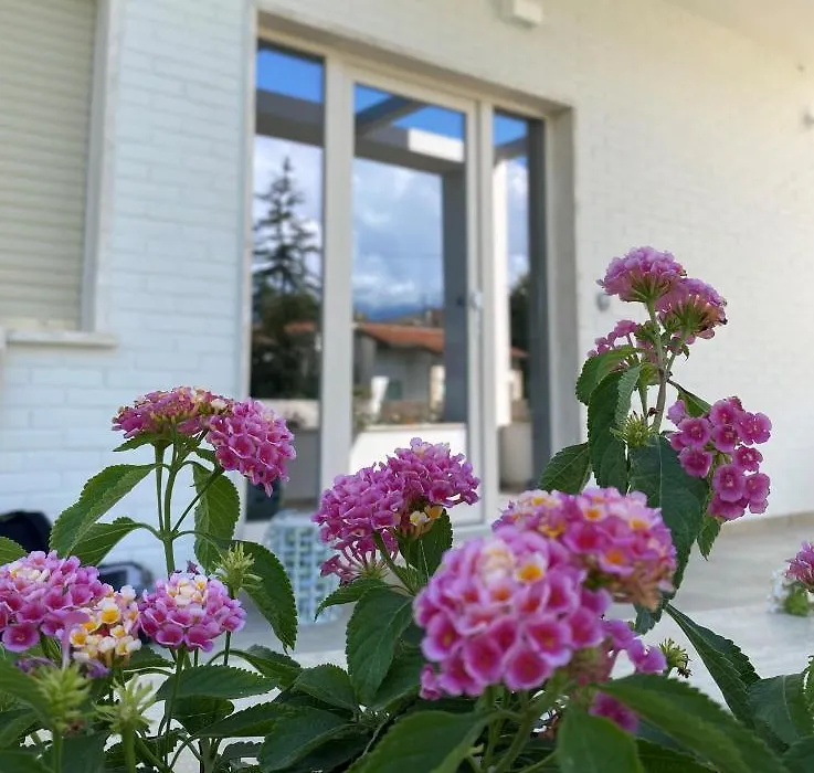 Villa Derna Marina di Pietrasanta-1